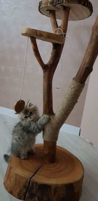 Домик для кота ігрова зона еко эко дряпка когтеточка