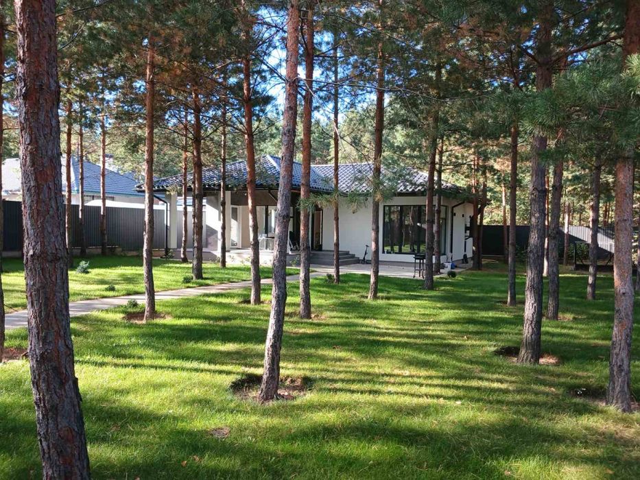 Будинок, Зелена поляна 2