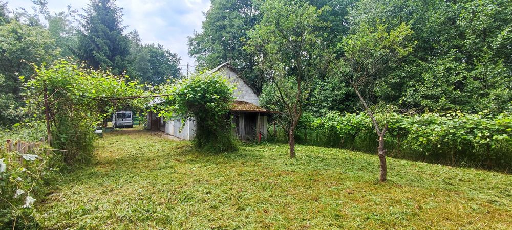 Dom przy lesie | 10a | Borzęcin | ogłoszenie prywatne - Widok 5