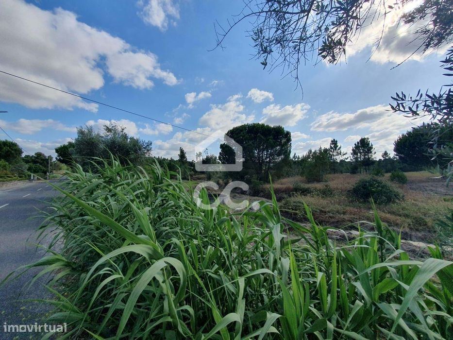 Terreno com 38.830 m² em localização privilegiada em Coruche