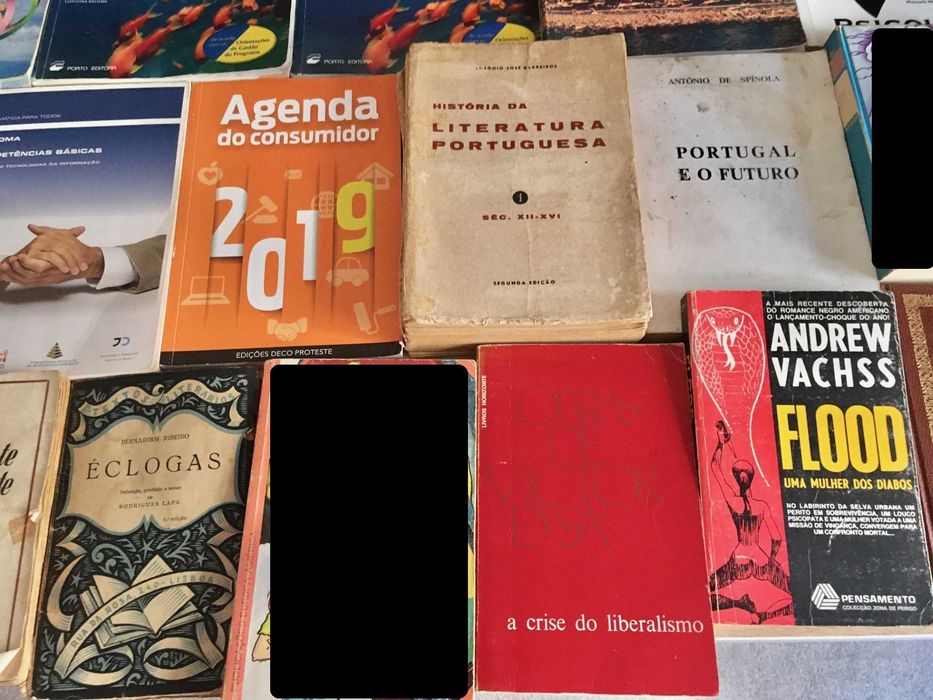 Lote de 31 livros