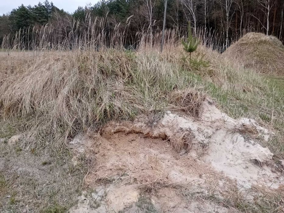 Piasek kopany żółty