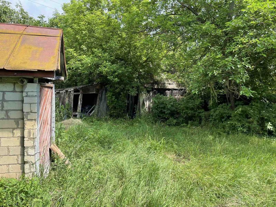 Будинок Остер 25 соток, без комісії