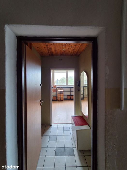 Zdjęcie 7