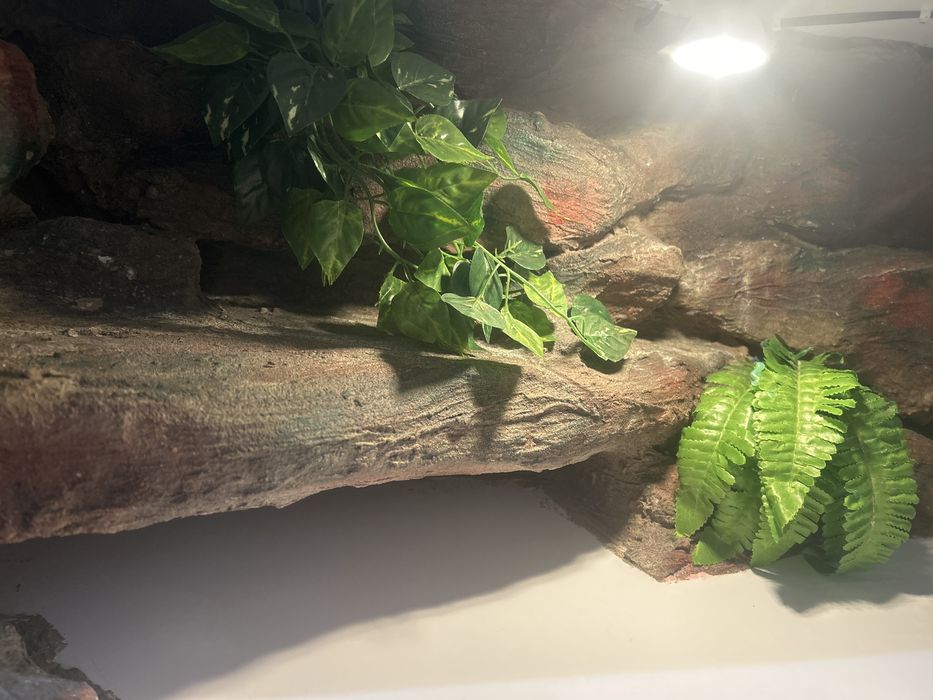 Terrarium 120 x 40 x 40