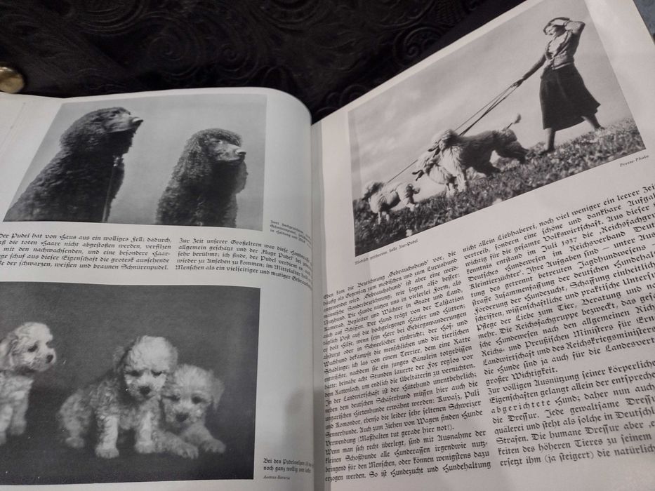 Paul Eipper 1938 Das Saustierbuch