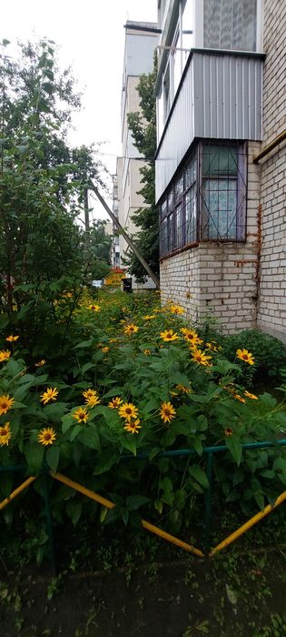 Срочно продам 1к.кв.в Солоницевке