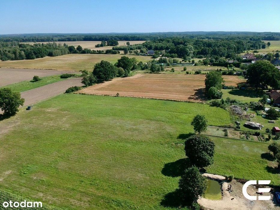 Grabowno Małe | 4825 m² | potencjał inwestycyjny - Więcej