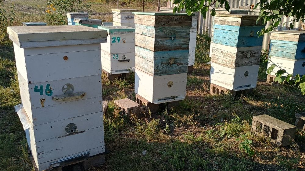 Продам вулики  ( договірна )