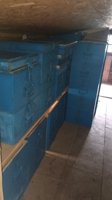 Індивідуальнна пасіка без бджіл