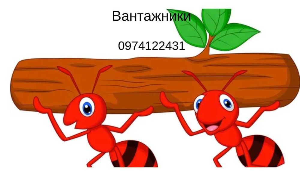 Вантажники.Послуги вантажників.грузчики.різноробочі.