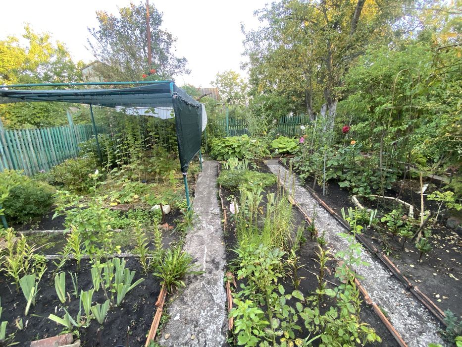 Дачний невеликий будинок