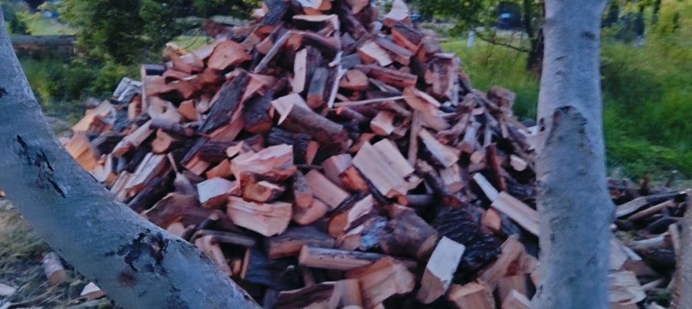 Drzewo kominkowe buk dąb klon