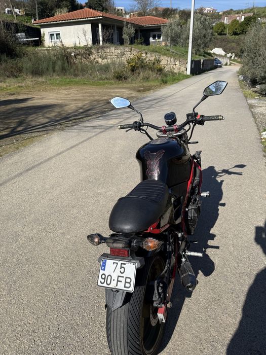 Cbr 600 f3 café racer