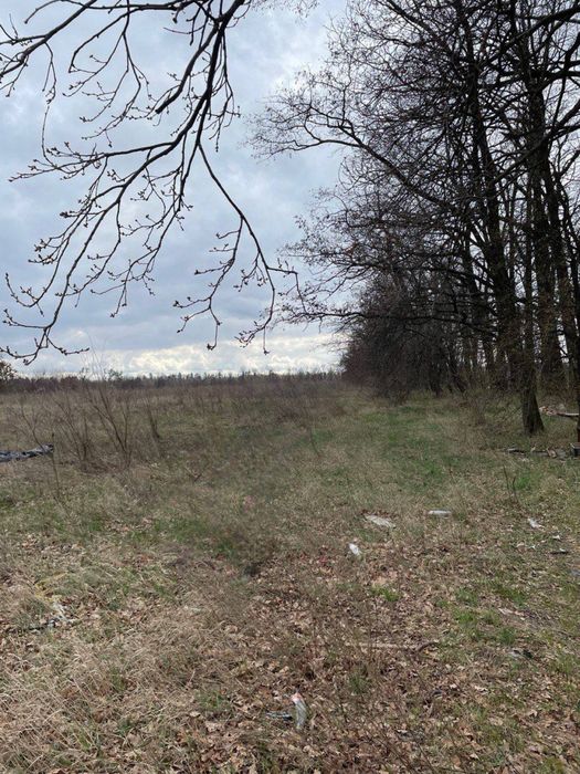 Продаж ділянки  під забудову,  Село Озера,Киівська область