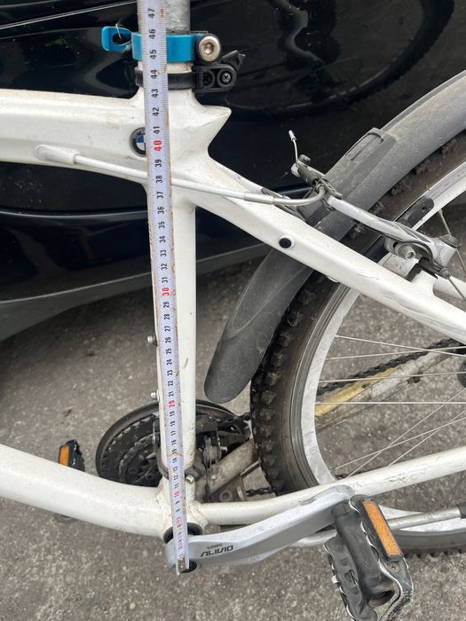 Rower Bmw cruise bike