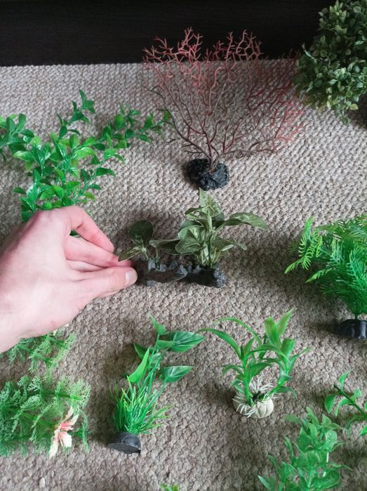 Sztuczne rośliny do akwarium