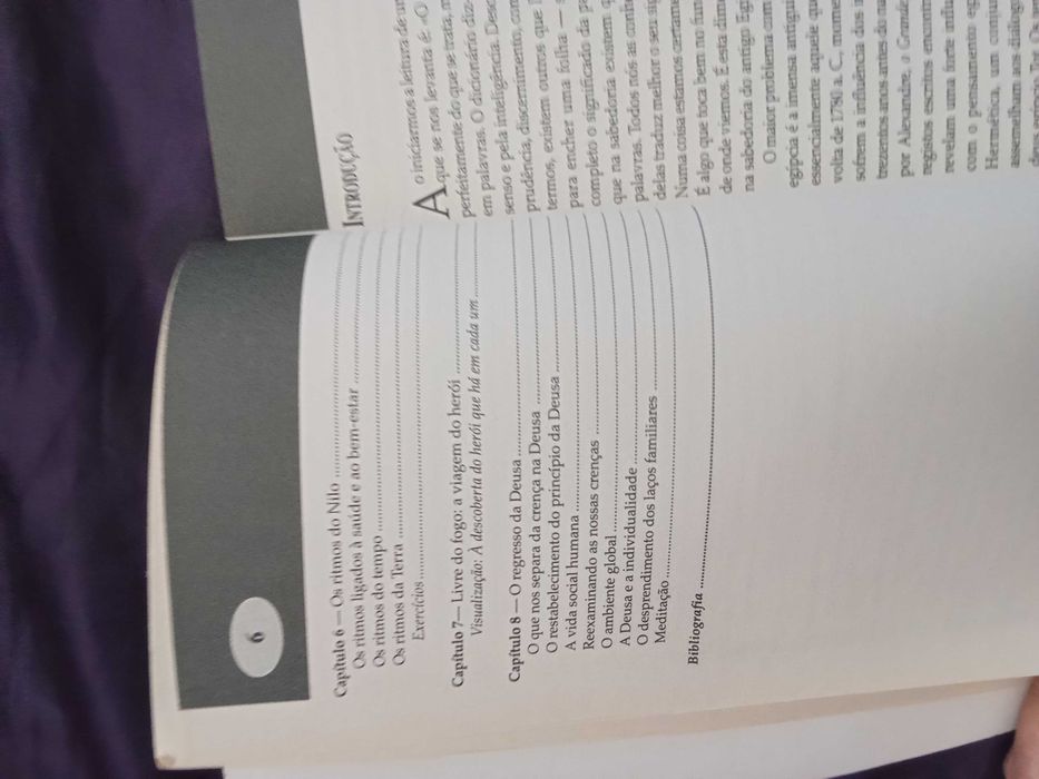 A Sabedoria dos Egípcios - Ron Bonewitz