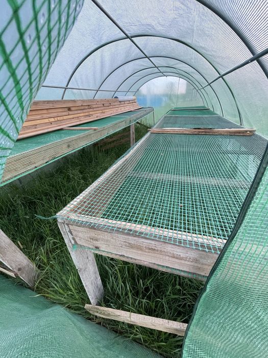 Sprzęt paśniki skrzynki stoły do hodowli ślimaków