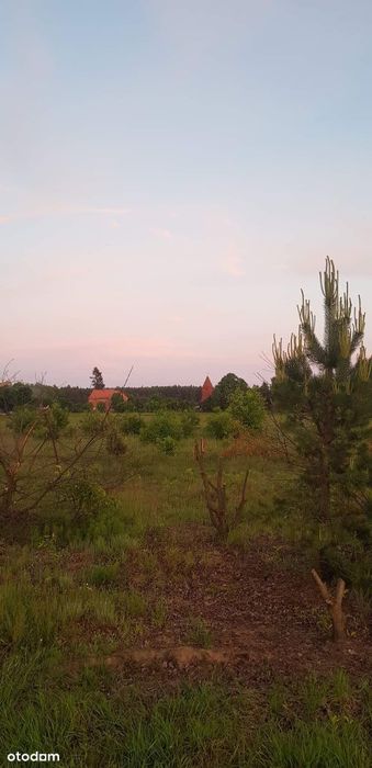 Zdjęcie 3