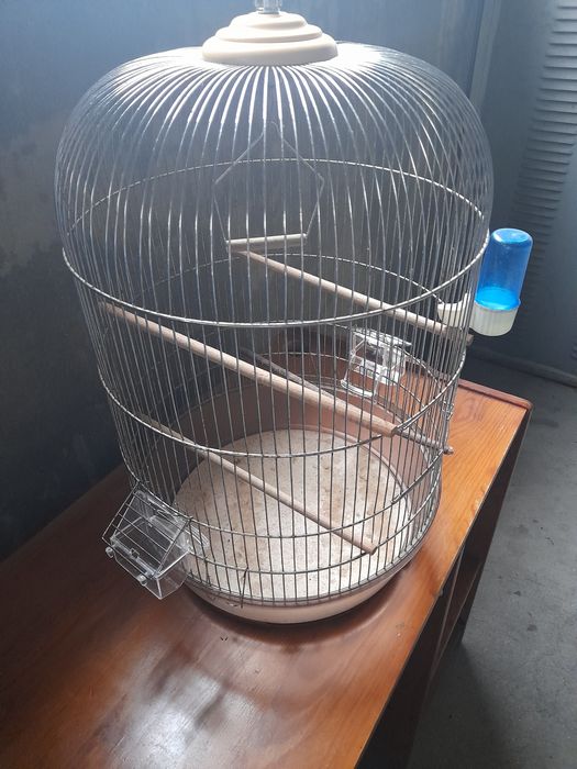 Gaiola Encia para pássaros