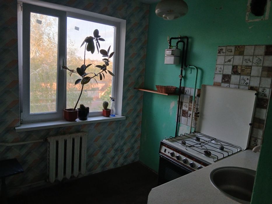 Оренда 1-к. район Третьої міської — можна з тваринами