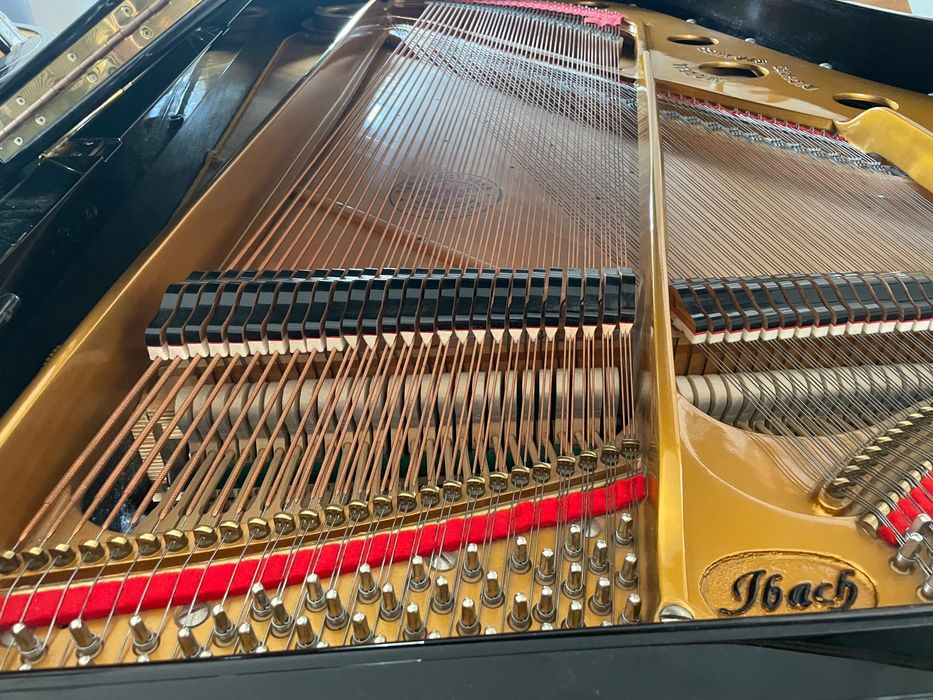 Piano de cauda Ibach Richard Strauss FIII - F3