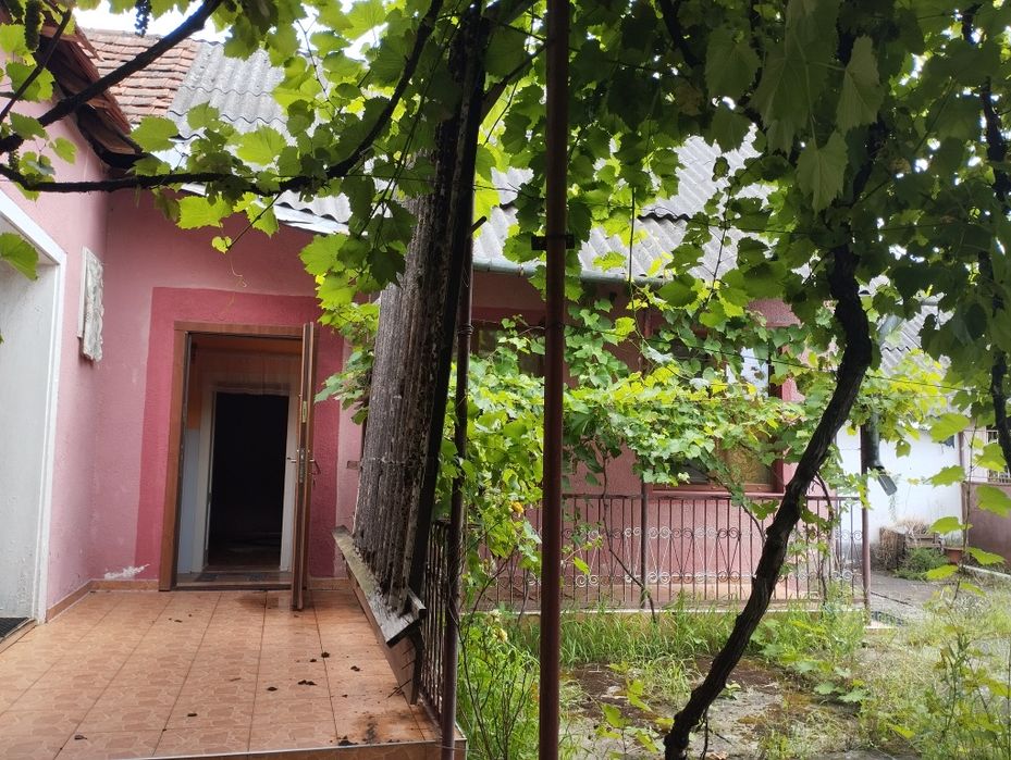Продам дом Закарпатье Берегуйфолу