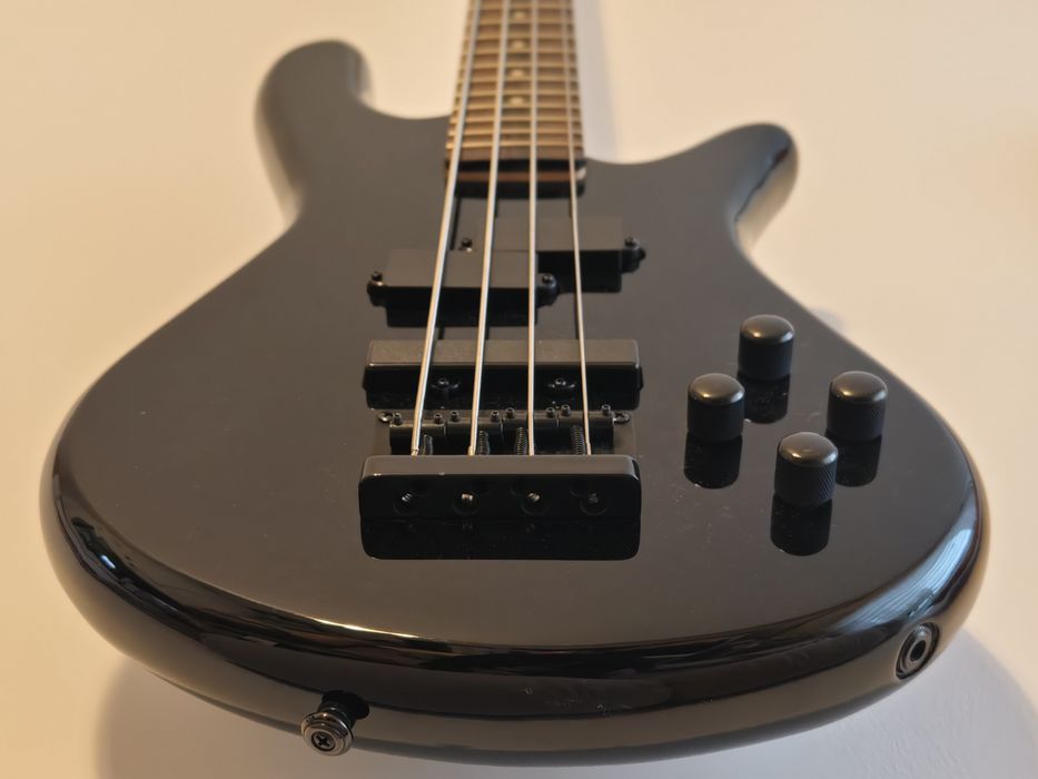Gitara basowa Spector - piękna i mega brzmiąca!