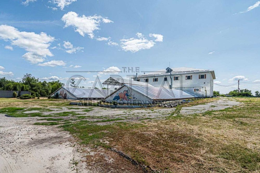 Продажа фермы, с. Русанов, Броварской р-н