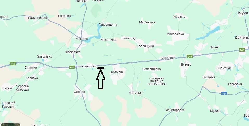 Продаж 2 земельних ділянок у лісі по 2 га, с. Копилів