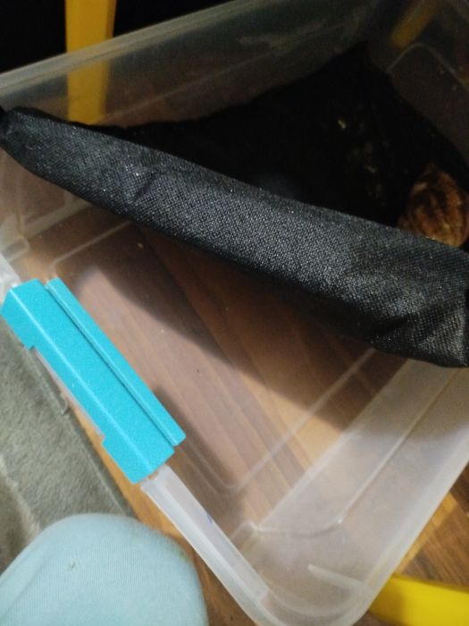 Мат для равликів