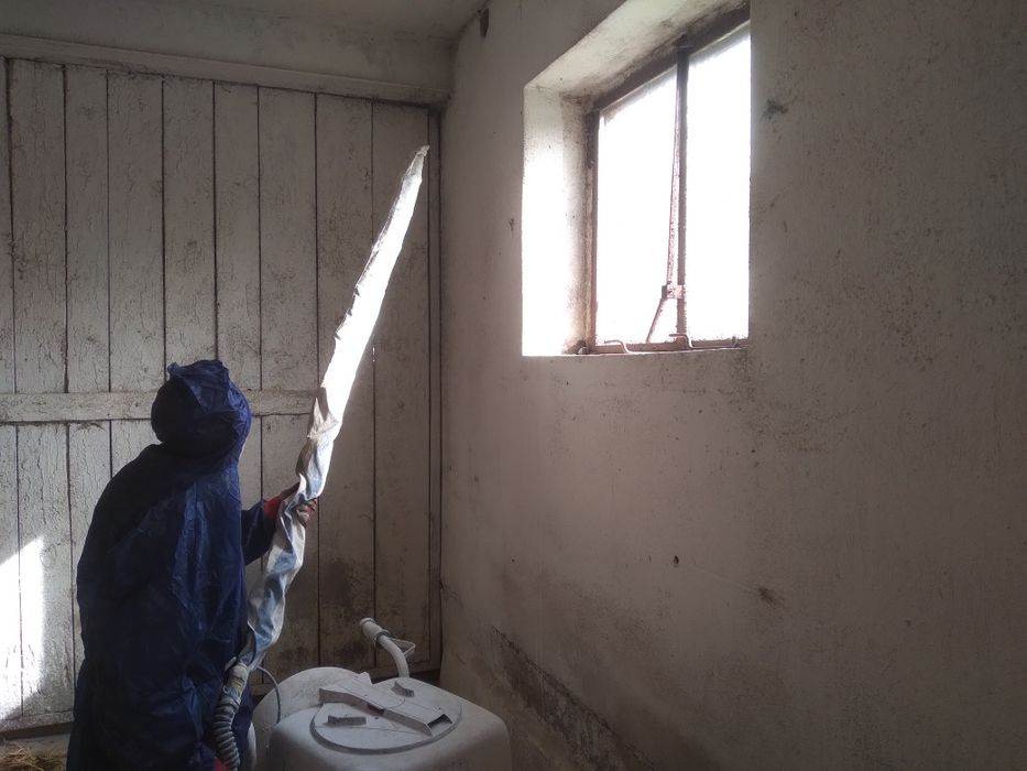 Bielenie budynków inwentarskich, obór, magazynów