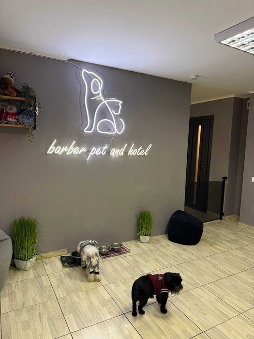 Бізнес Грумінг-салон, перетримка тварин