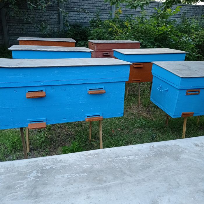 Вулики для бджіл б/ в нормальному стані