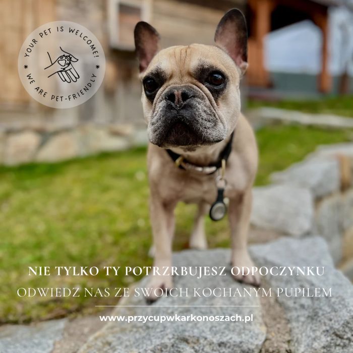 Przycup w Karkonoszach Apartamenty Karpacz Karkonosze