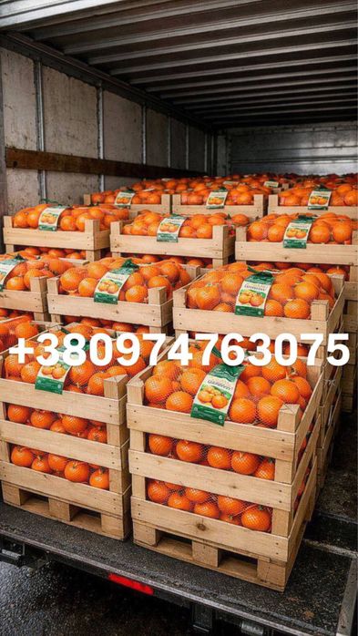 Опт фрукты мандарин гранат грейпфрут