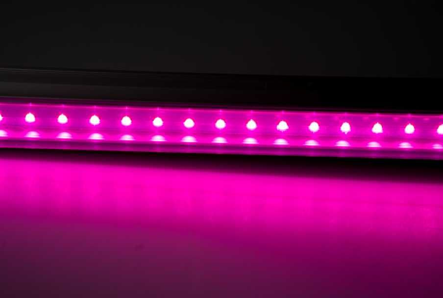 Фитолампа бесплатные крепления фитолампа для всех видов растений