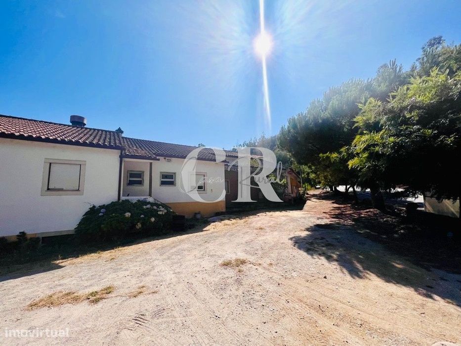 Restaurante em Ribeira de Alge - Figueiró Dos Vinhos