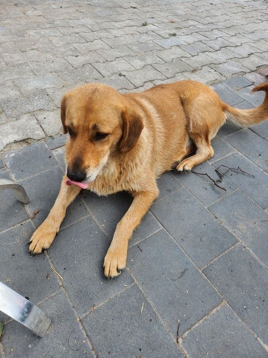 Nora szuka dalej swojej miłości.