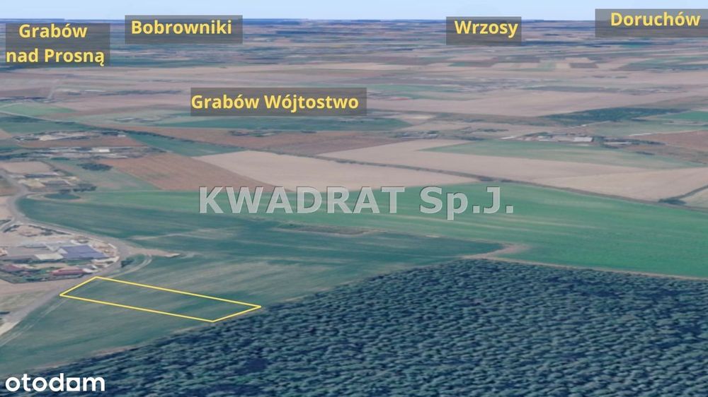 Duża działka pod lasem (2999 m²)– Grabów Wójtostwo - Widok 5