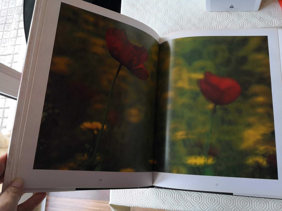 Do fulgor das flores. Raúl Constâncio & David Mourão-Ferreira