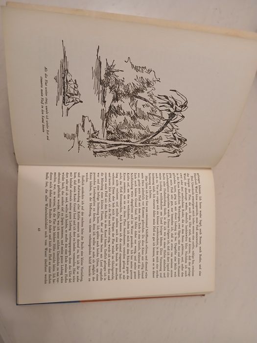 Robinson Crusoe. Daniel Defoe