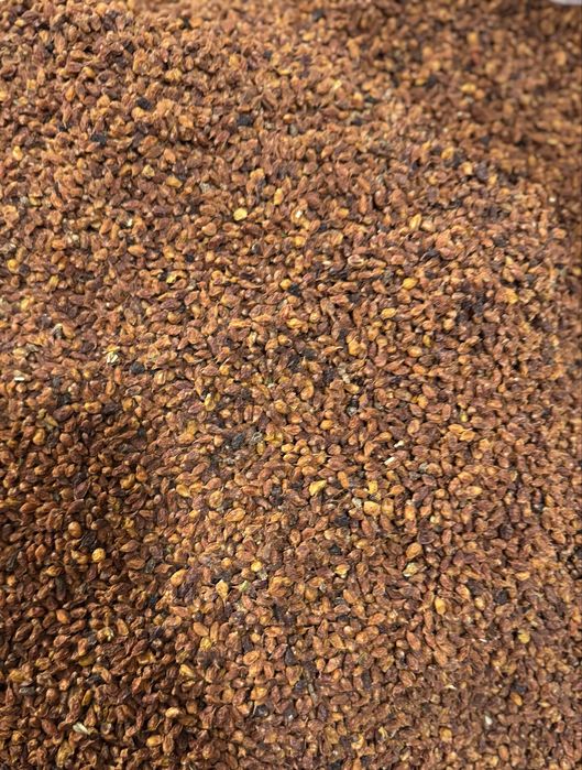 Сушена ягода обліпихи, суха обліпиха , облепиха сухая