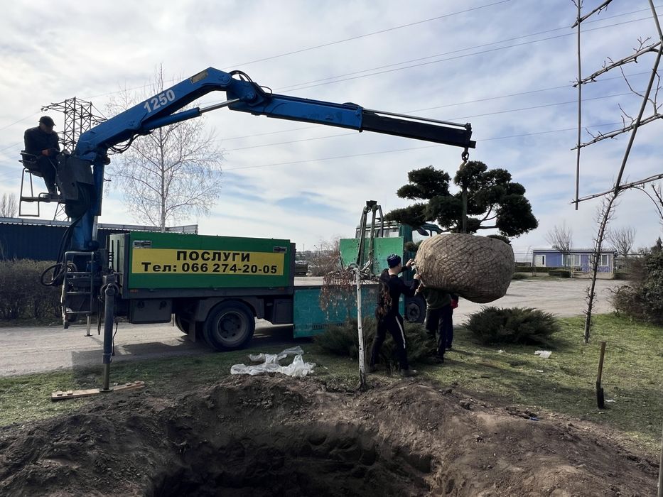 Услуги манипулятора