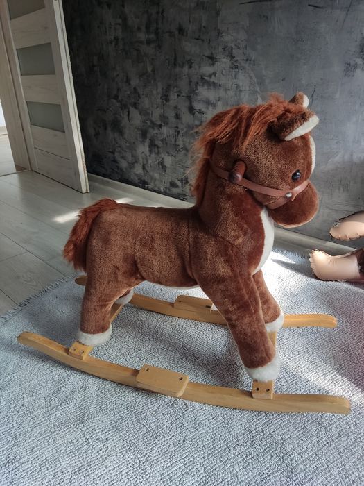 Konik na biegunach