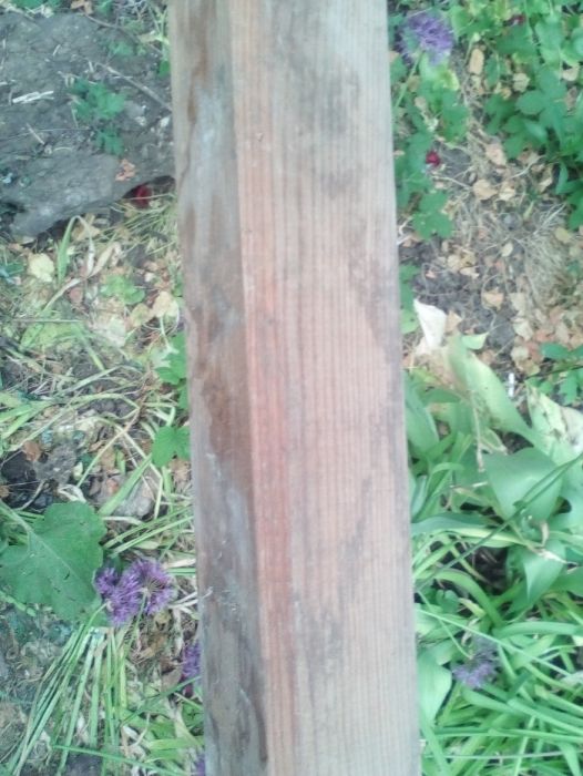 лиственница   5,5 м