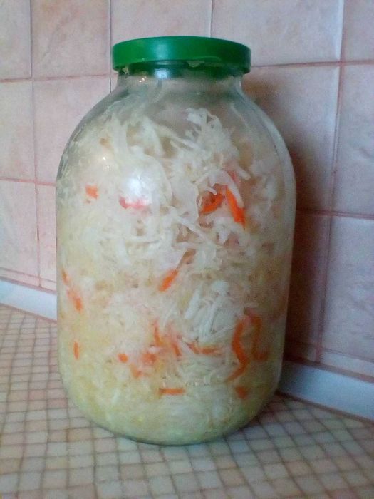 Каланхое рослина Квашена Капуста