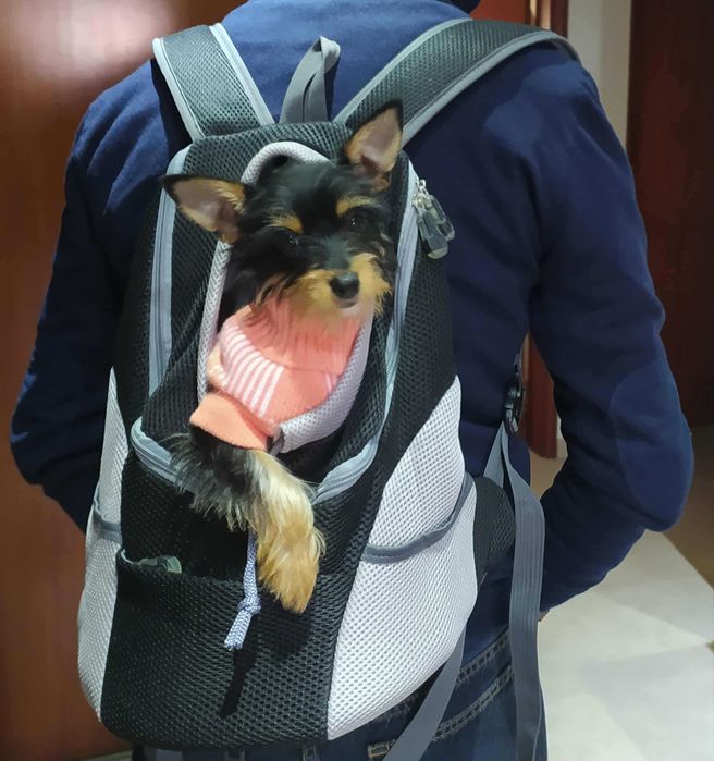 Mochila para cão (porte pequeno)