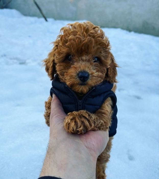 Когда взгляд говорит больше слов